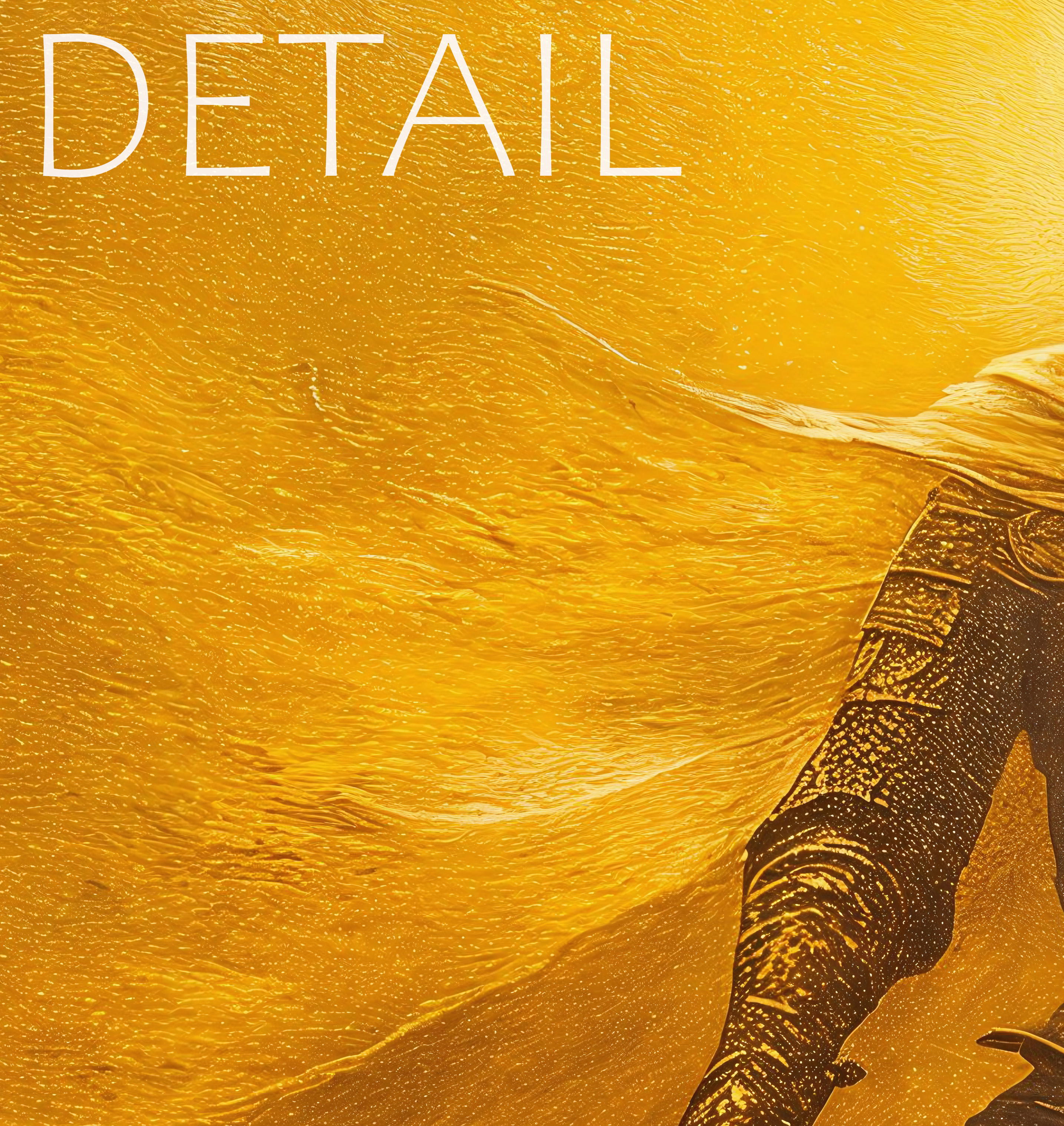 Crusader Knight — image 5